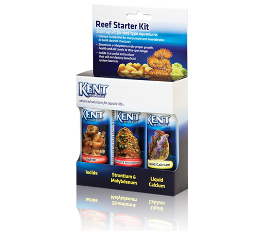 Reef Starter Kit Sub Cat